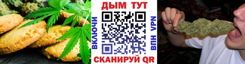 OMG рабочий сайт  продажа наркотиков  Нововоронеж  Canna-Cookies конопля 