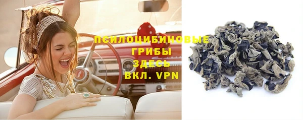 дживик Аркадак