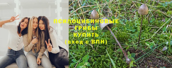 дживик Аркадак