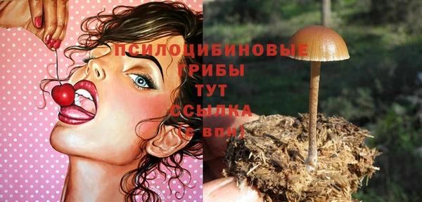 бошки Армянск