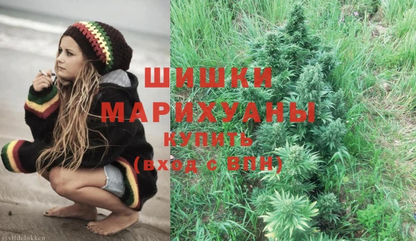 дживик Аркадак