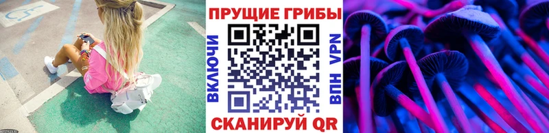 Псилоцибиновые грибы мухоморы цены Нововоронеж